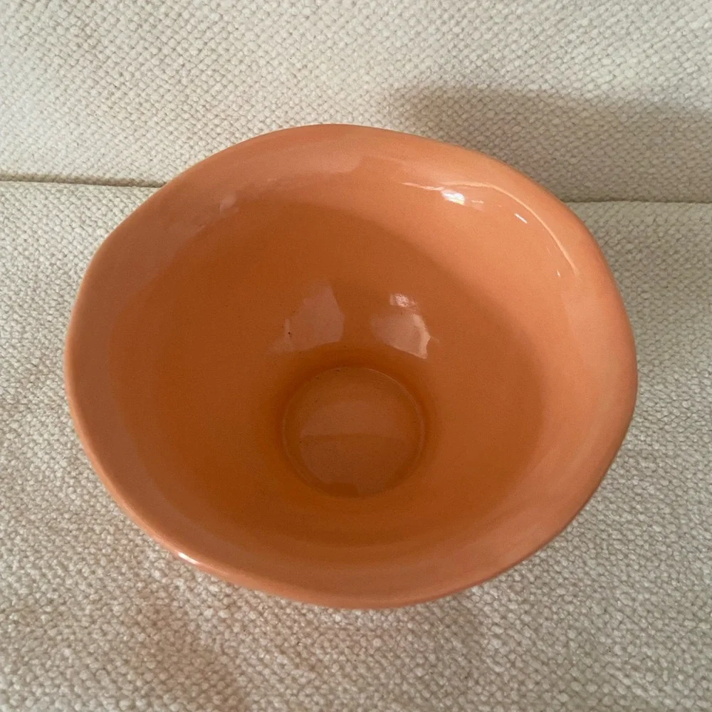 (2) Crate & Barrel bowls